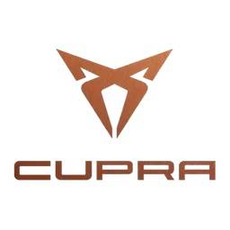 Cupra Car Mats