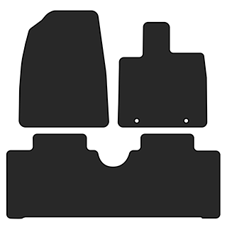 BYD Dolphin Surf Car Mats